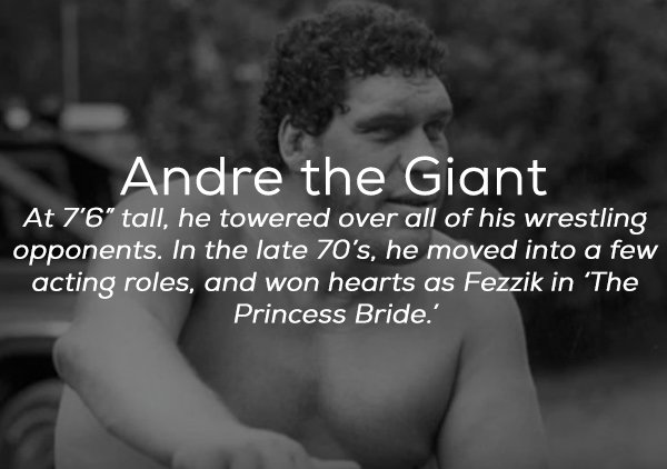 photo caption - Andre the Giant At 7'6" tall, he towered over all of his wrestling opponents. In the late 70's, he moved into a few acting roles, and won hearts as Fezzik in 'The Princess Bride.'