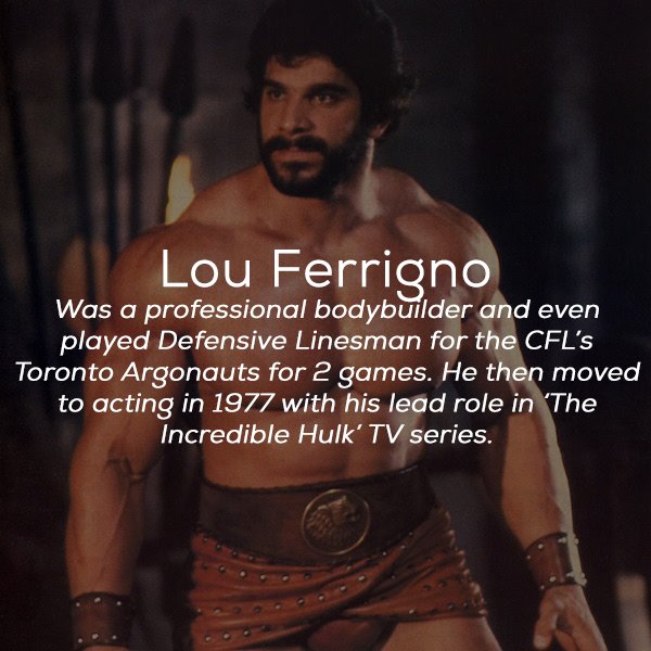 lew ferrigno - Lou Ferrigno Was a professional bodybuilder and even played Defensive Linesman for the Cfl's Toronto Argonauts for 2 games. He then moved to acting in 1977 with his lead role in 'The Incredible Hulk' Tv series.