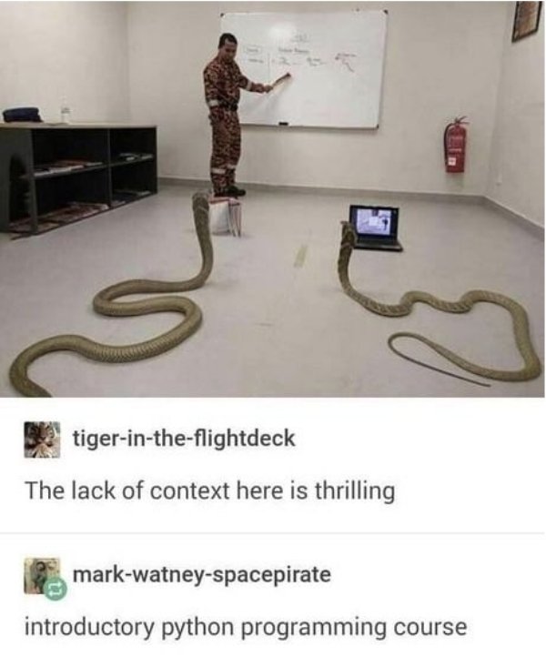 python programming meme - tigerintheflightdeck The lack of context here is thrilling markwatneyspacepirate introductory python programming course