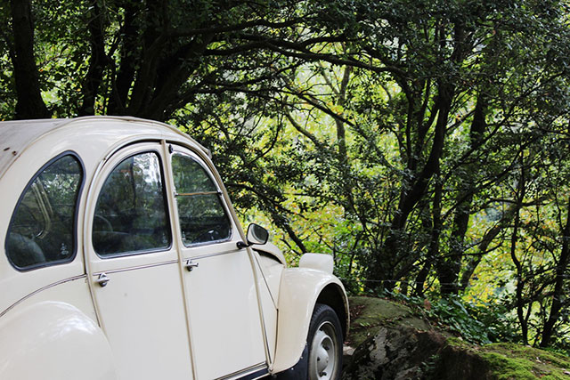 If you ever find yourself stranded in the middle of nowhere, stay with your vehicle. You are much more likely to be found by searchers and will have shelter if needed.