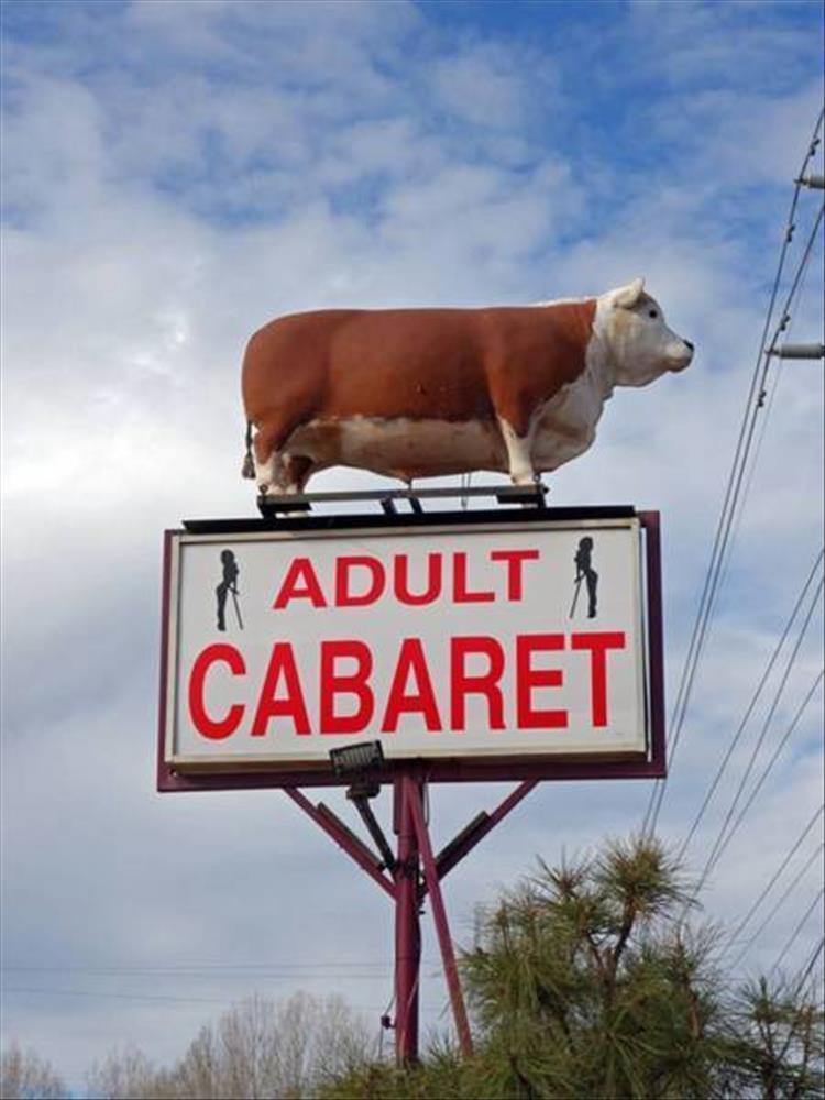 cow strip club payson - Adult Cabaret
