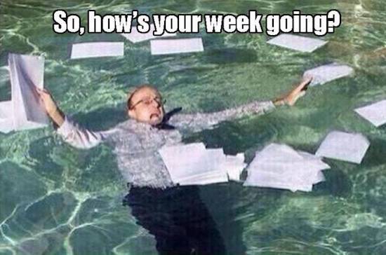 drowning in school work - So, how's your week going?