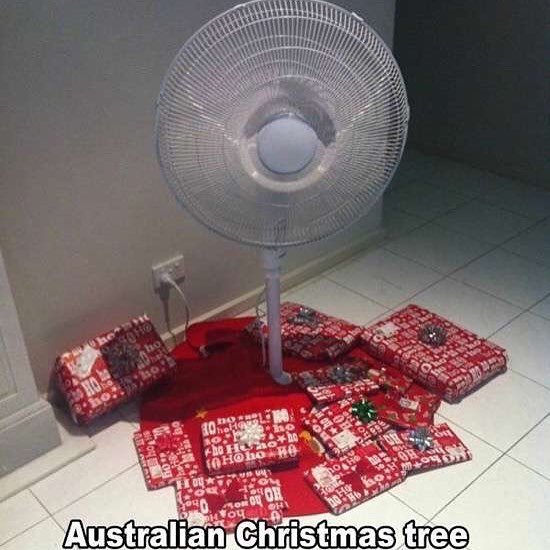 australian christmas tree meme - Australian Christmas tree