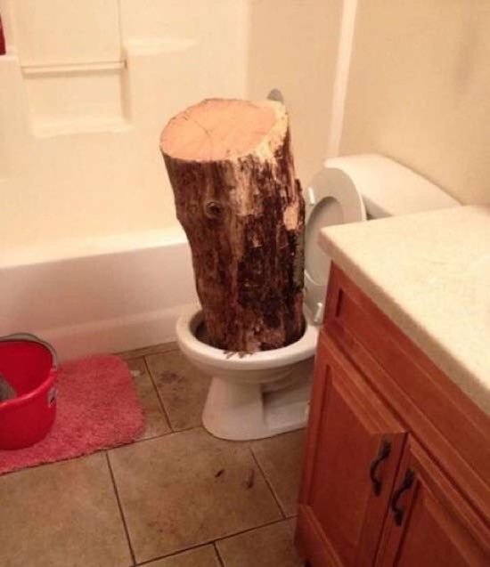 log in a toilet
