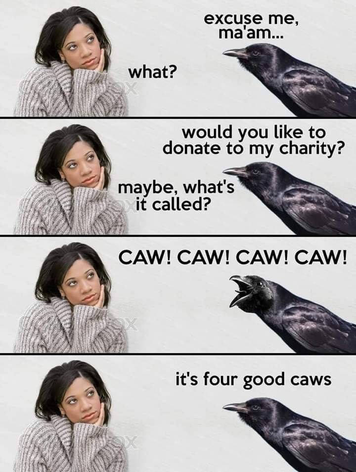 meme four good caws meme - excuse me, ma'am... what? would you to donate to my charity? maybe, what's it called? Caw! Caw! Caw! Caw! it's four good caws