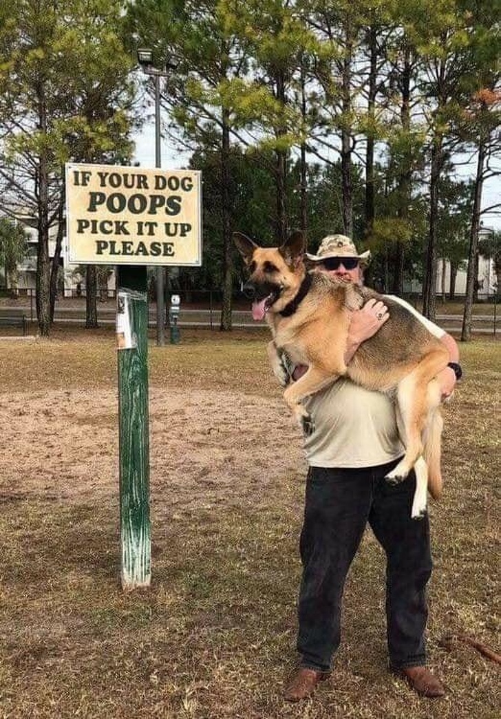 memes - if your dog poops pick it up - If Your Dog Poops Pick It Up Please