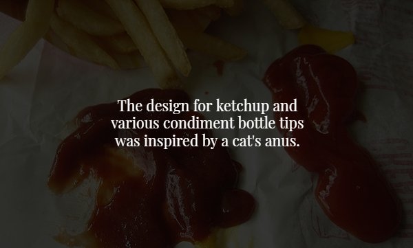 mouth - The design for ketchup and various condiment bottle tips was inspired by a cat's anus.