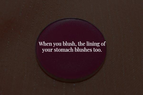 circle - When you blush, the lining of your stomach blushes too.