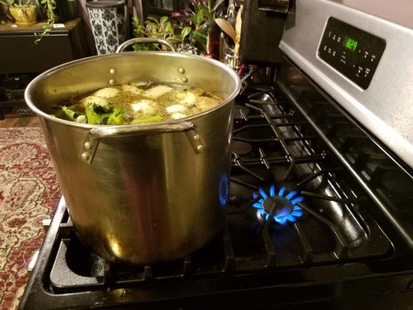 “I just couldn’t get why the water didn’t boil after an hour.”