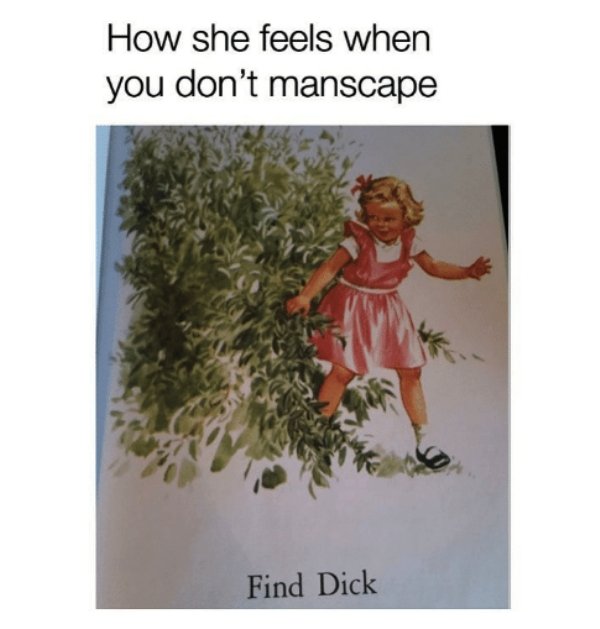 memes - funny manscaping memes - How she feels when you don't manscape Find Dick