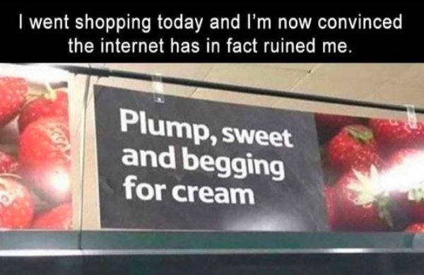 memes - display advertising - I went shopping today and I'm now convinced the internet has in fact ruined me. Plump, sweet and begging for cream