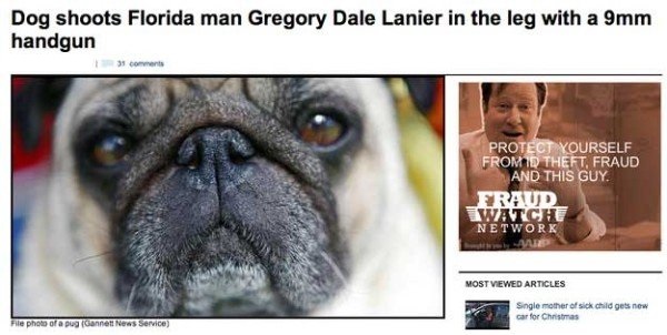 florida man headlines - Dog shoots Florida man Gregory Dale Lanier in the leg with a 9mm handgun 31 Protect Yourself From Id Theft, Fraud And This Guy Praud Watche Network Most Viewed Articles Single mother of sick child gets new car for Christmas File ph