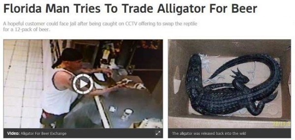 florida man tries to trade alligator for beer - Florida Man Tries To Trade Alligator For Beer A hopeful customer could face jail after being caught on Cctv offering to swap the reptile for a 12pack of beer Video Aligator For Beer Exchange The aligator was