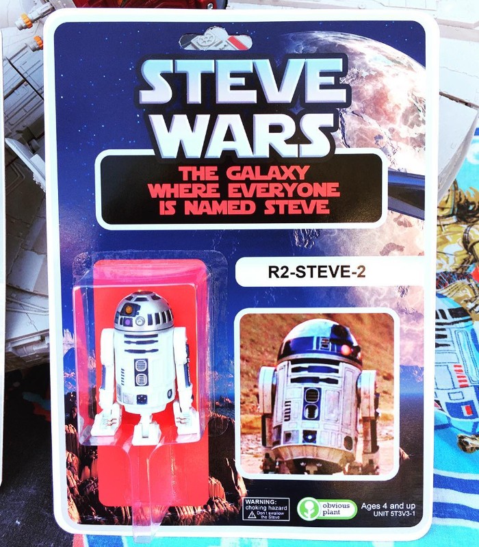 obvious plant toys - Steve Warsi The Galaxy Where Everyone Is Named Steve R2Steve2 13 Cid Ii Warning choking hazard A Don Stele obvious plant Ages 4 and up Unit 5T3V31