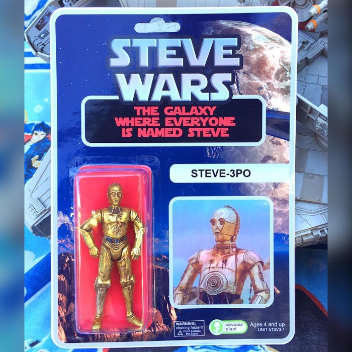 obvious plant toys - Steve Warsu The Galaxy Where Everyone Is Named Steve Steve3PO Warning choking hazard A low obvious plant Ages 4 and up Unit 5T3V31