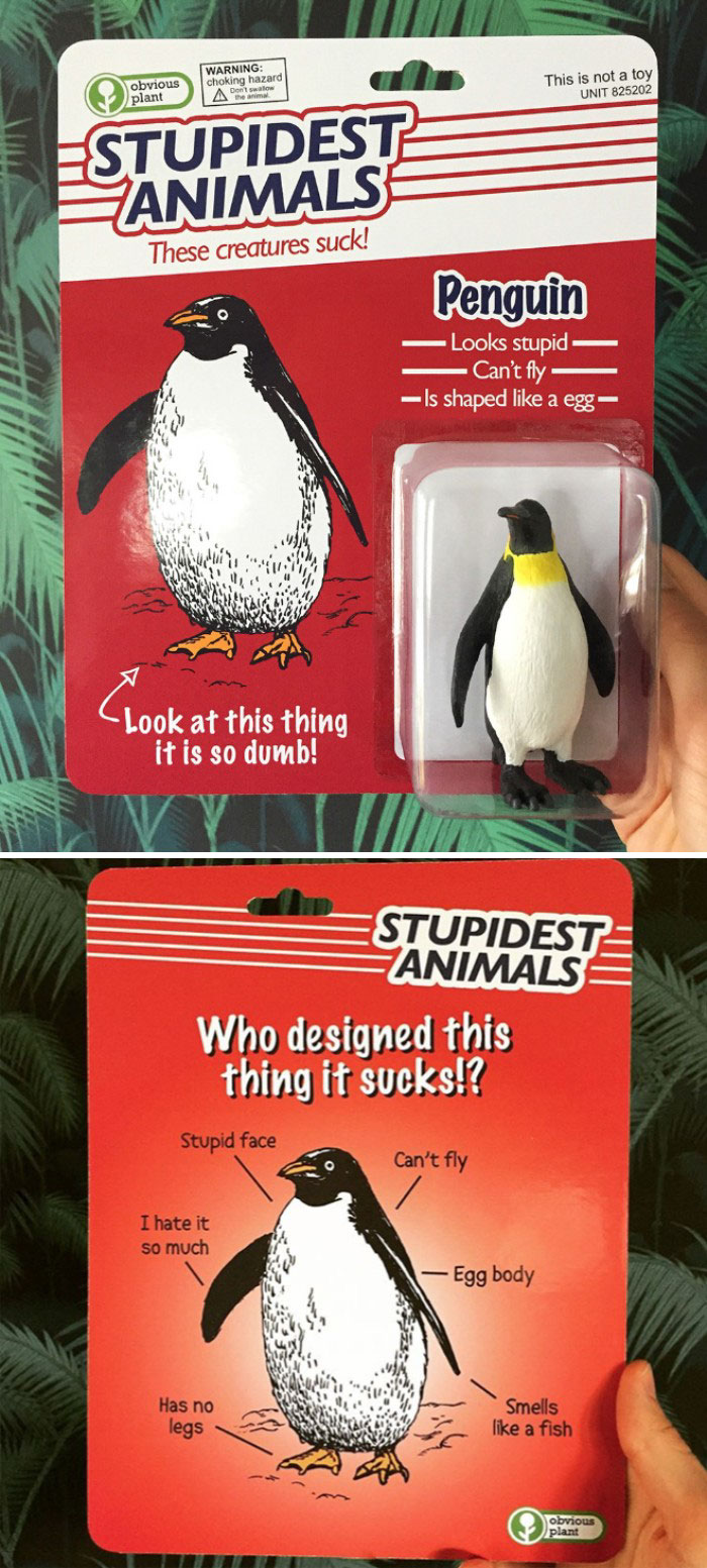 obvious plant stupidest animals - obvious Warning choking hazard animal This is not a toy Unit 825202 plant A Bento Estupidest Animals These creatures suck! Penguin Is the per te Looks stupid Can't fly Is shaped a egg Look at this thing it is so dumb! Stu