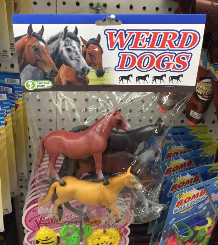 obvious plant - Werd Dogs To obvious plant Bome 10 Bomo Bch