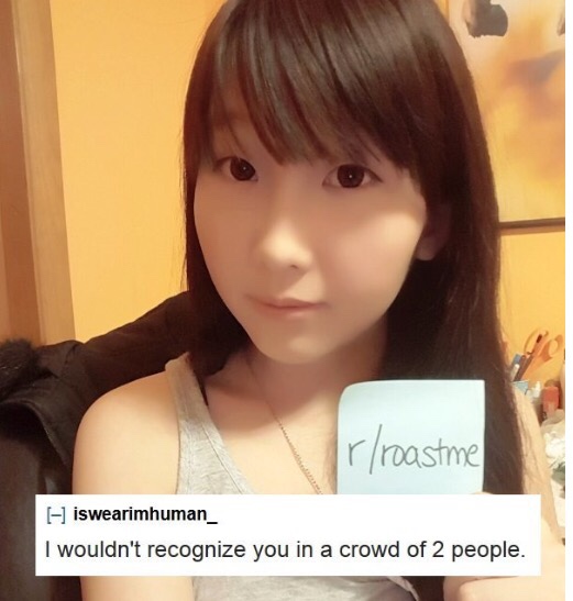 roast session meme - rroastm iswearimhuman_ I wouldn't recognize you in a crowd of 2 people.