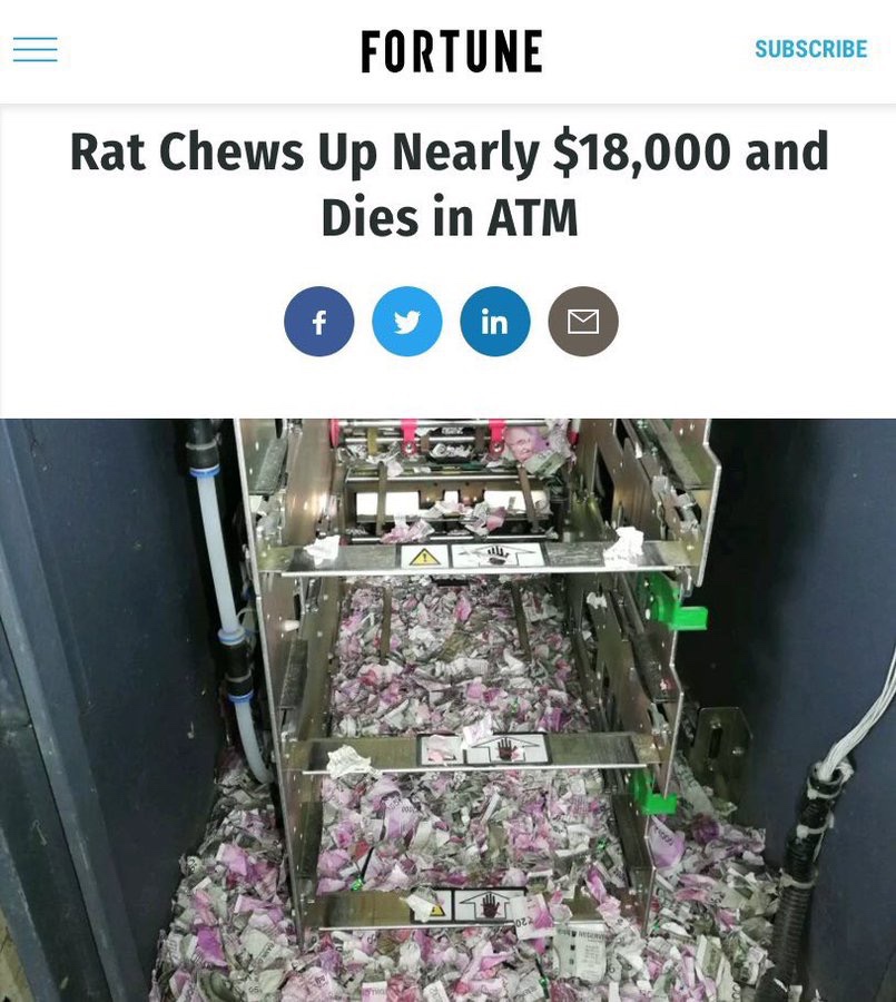 rat atm - Fortune Subscribe Rat Chews Up Nearly $18,000 and Dies in Atm