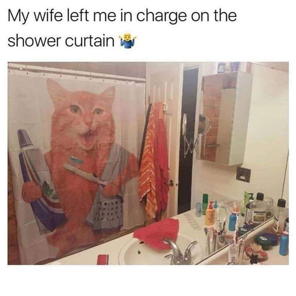funny shower curtain meme - My wife left me in charge on the shower curtain
