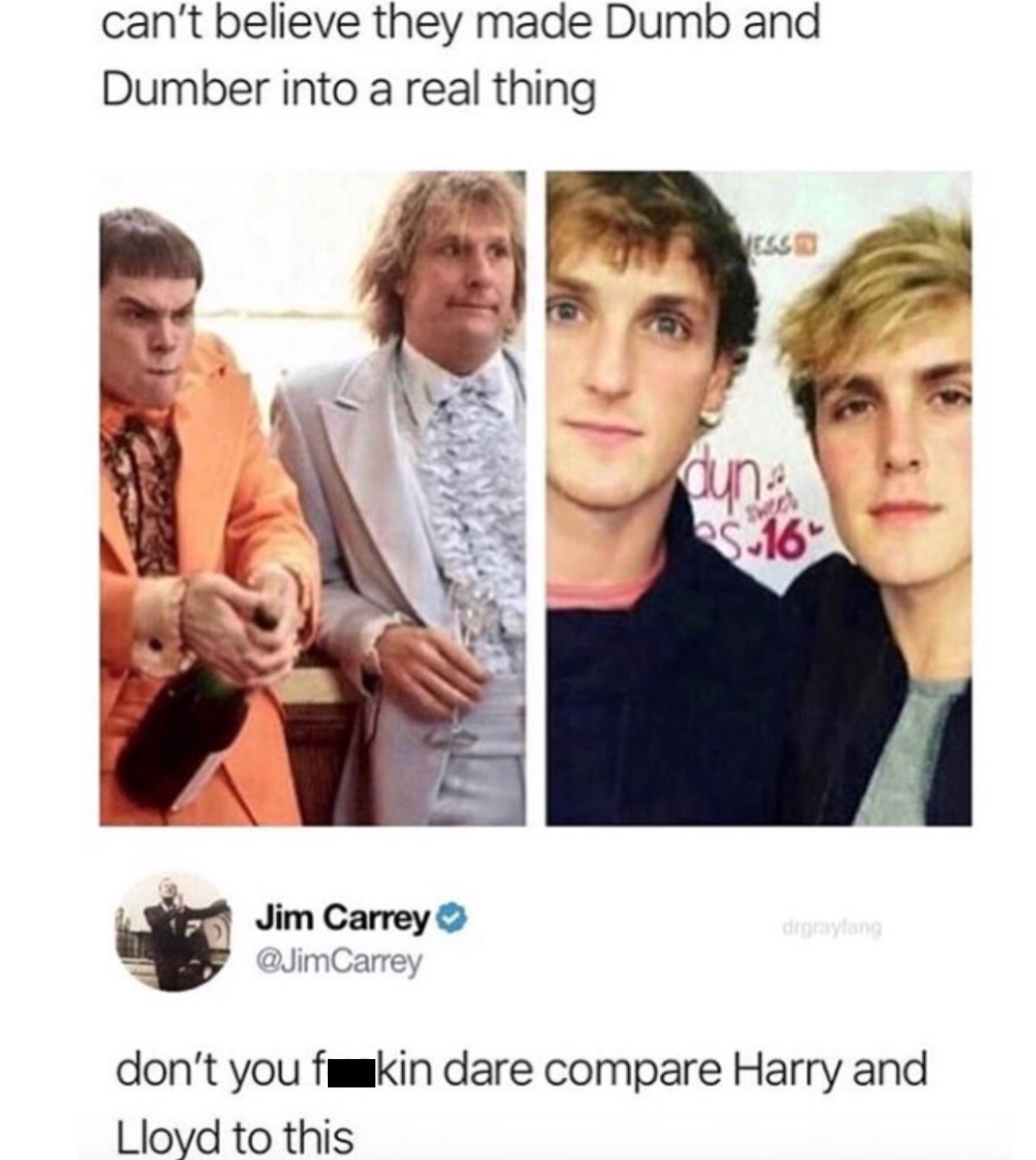 jeff daniels dumb and dumber - can't believe they made Dumb and Dumber into a real thing digitayang Jim Carrey Carrey don't you fakin dare compare Harry and Lloyd to this