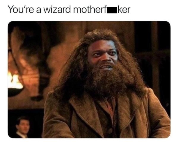 samuel l jackson hagrid - You're a wizard motherfker