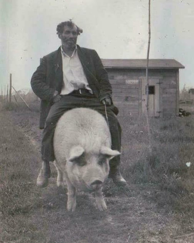 In the early 1900s, getting drunk and riding a pig was considered one of the most extreme sports known to man.
