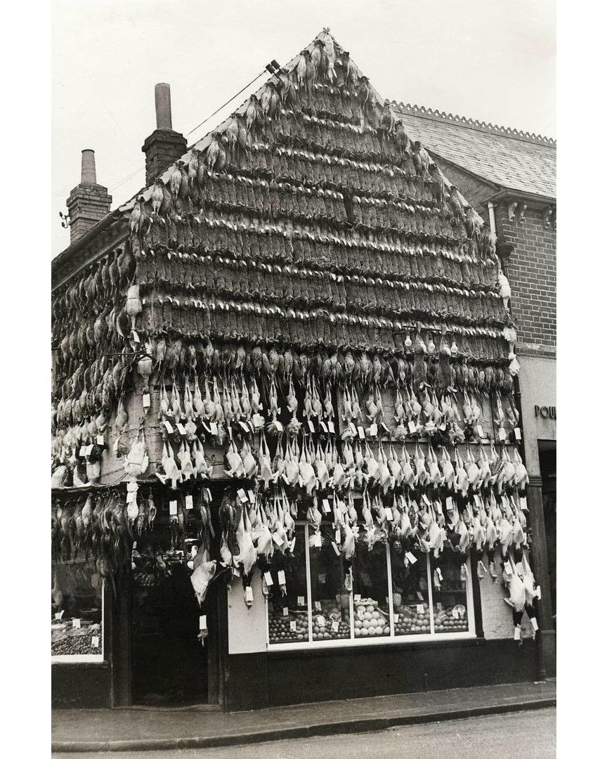 A butcher’s shop in High Wycombe before everyone had fridges in their homes
