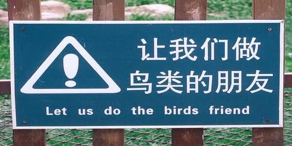 bad chinese to english translations - Let us do the birds friend