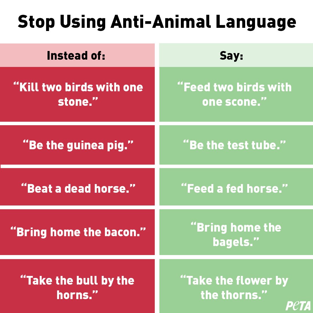 <a href="https://twitter.com/peta/status/1070066047414345729">Peta recently tweeted</a> this list of phrases they want people to stop using saying, "Words matter, and as our understanding of social justice evolves, our language evolves with it. Here's how to remove speciesism from your daily conversations." 