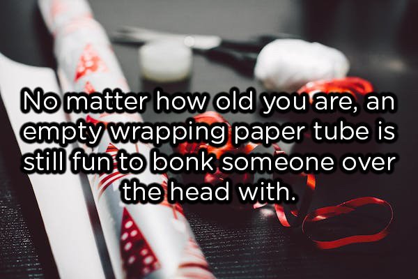 showerthoughts  - photo caption - No matter how old you are, an empty wrapping paper tube is still fun to bonk someone over the head with.