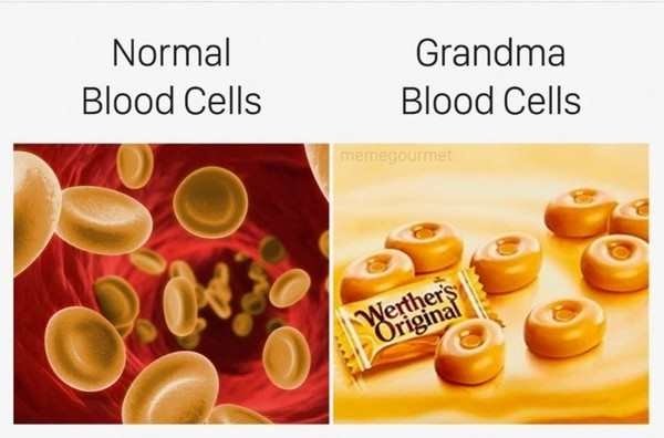 Relatable meme on normal blood cells vs grandma blood cells - Normal Blood Cells Grandma Blood Cells 21 Werthers Original