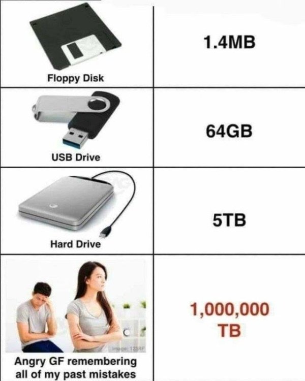 Relatable meme on floppy disk vs hard disk - 1.4MB Floppy Disk 64GB Usb Drive 5TB Hard Drive 1,000,000 Tb Image Angry Gf remembering all of my past mistakes