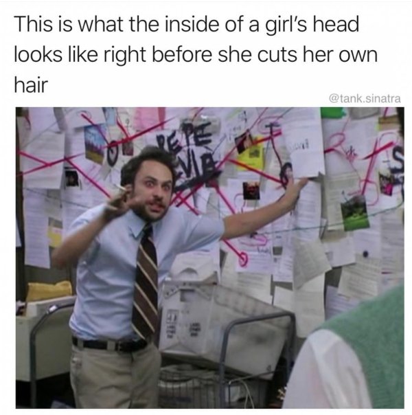 Relatable meme on netflix bird box memes - This is what the inside of a girl's head looks right before she cuts her own hair .sinatra