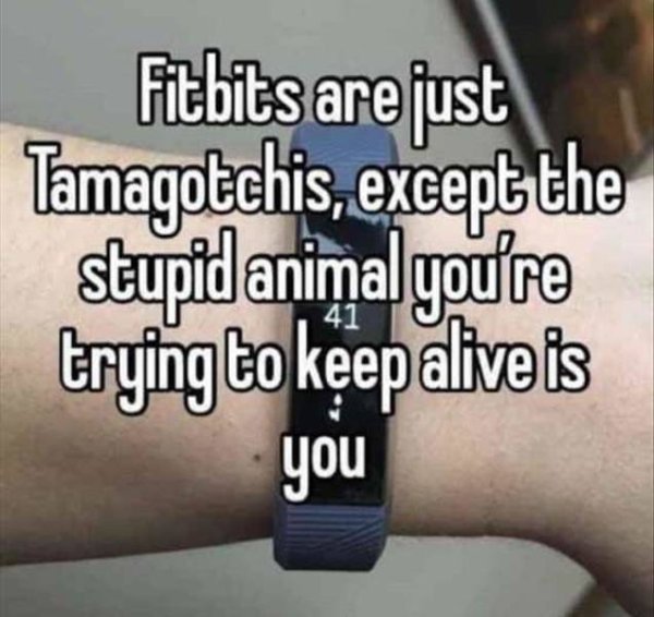 Relatable meme on Humour - Fitbits are just Tamagotchis, except the stupid animal you're trying to keep alive is you