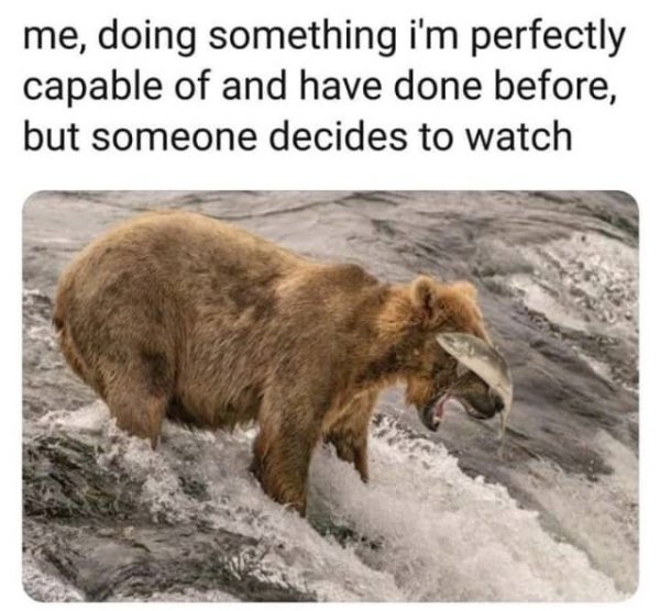 Relatable meme on me doing something i m perfectly capable - me, doing something i'm perfectly capable of and have done before, but someone decides to watch