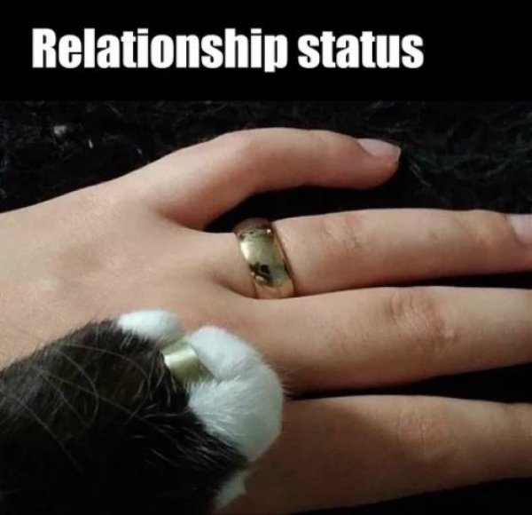 forever alone funny engagement ring meme - Relationship status