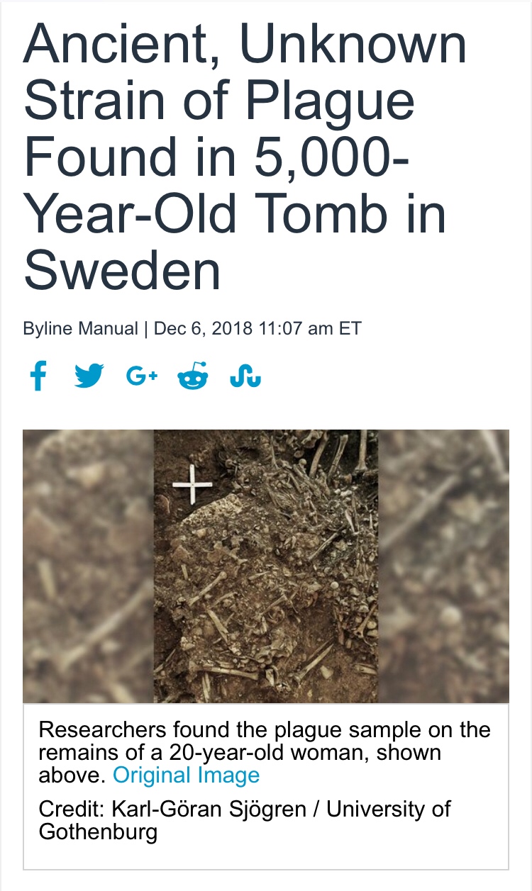 soil - Ancient, Unknown Strain of Plague Found in 5,000 YearOld Tomb in Sweden Byline Manual | Et f y G Su Researchers found the plague sample on the remains of a 20yearold woman, shown above. Original Image Credit KarlGran Sjgren University of Gothenburg