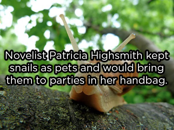 Novelist Patricia Highsmith kept snails as pets and would bring them to parties in her handbag.