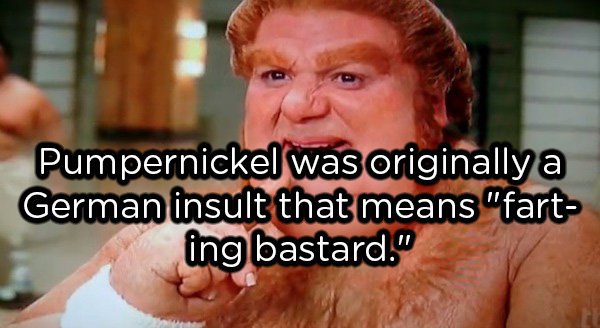 photo caption - Pumpernickel was originally a German insult that means "fart ing bastard."