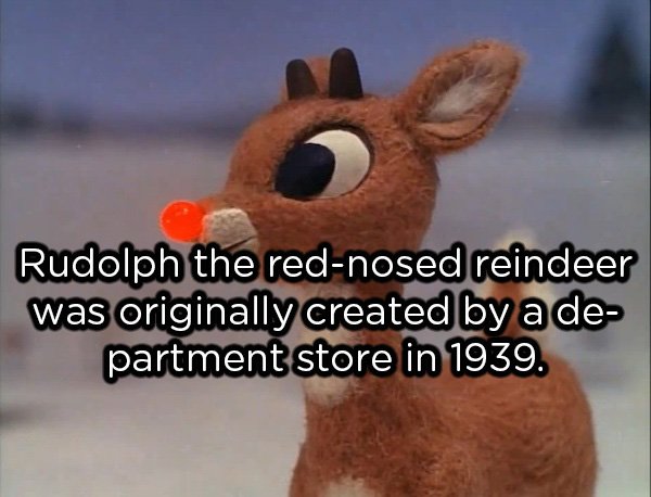 rudolph the red nosed reindeer - Rudolph the rednosed reindeer was originally created by a de partment store in 1939.