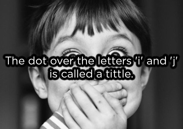 surprise photography - The dot over the letters i' and 'j' is called a tittle.