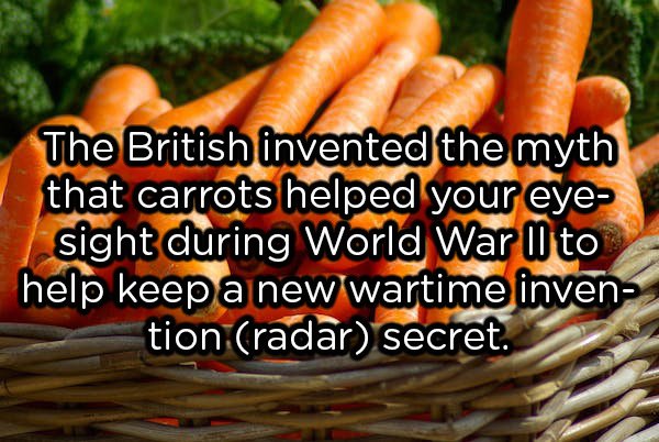 Carrot - The British invented the myth that carrots helped your eyes sight during World War Ii to help keep a new wartime inven tion radar secret.