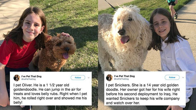 wholesome old - I've Pet That Dog I've Pet That Dog 52 Give That Dog I pet Oliver. He is a 1 12 year old goldendoodle. He can jump in the air for treats and loves belly rubs. Right when I pet him, he rolled right over and showed me his belly! I pet Snicke
