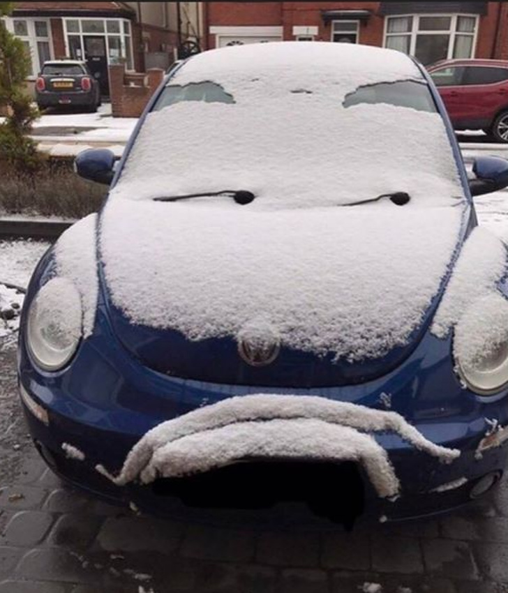 This car is not amused.