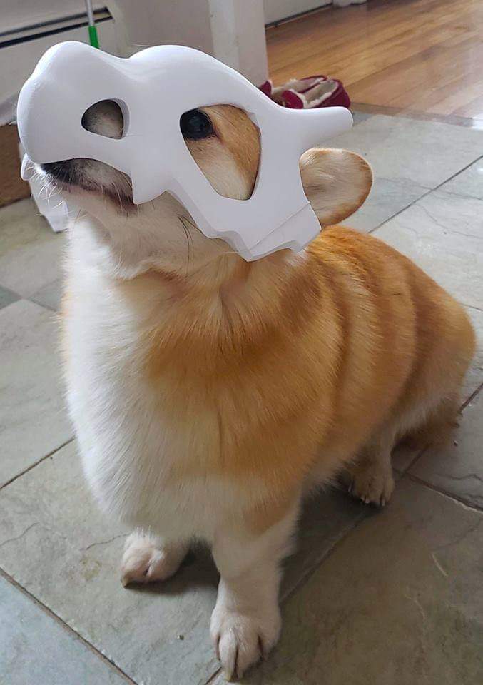 memes - cubone dog