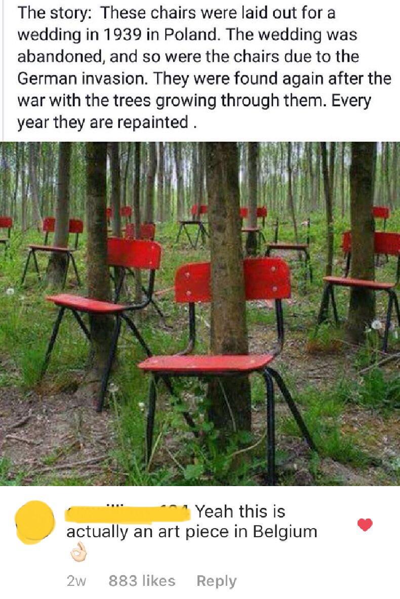 memes - truth fantasy fiction - The story These chairs were laid out for a wedding in 1939 in Poland. The wedding was abandoned, and so were the chairs due to the German invasion. They were found again after the war with the trees growing through them. Ev