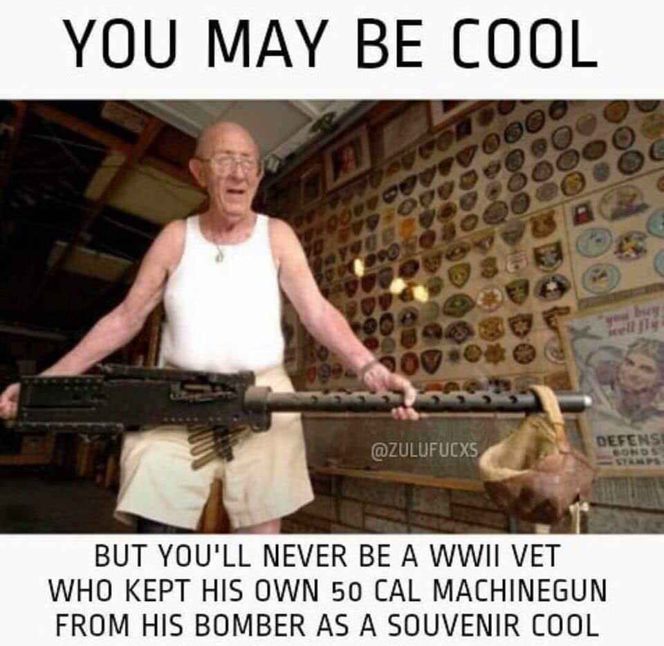 memes - ww2 souvenirs - You May Be Cool bo Defens Sonos But You'Ll Never Be A Wwii Vet Who Kept His Own 50 Cal Machinegun From His Bomber As A Souvenir Cool