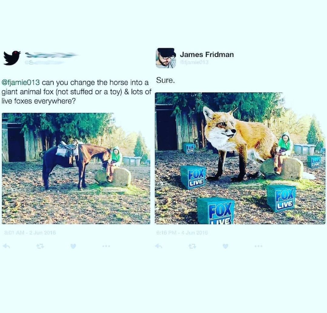 pet - James Fridman Enmient Sure. can you change the horse into a giant animal fox not stuffed or a toy & lots of live foxes everywhere? Fox Live Live Fox Am 2015