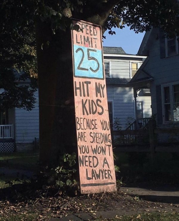 tree - Hit My Kids Because You Are Speeding You Wont Need A Lawyer